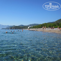 фото из отзыва ID 1297728