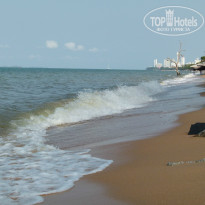 фото из отзыва ID 1297352