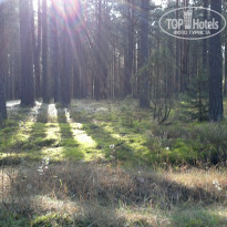 фото из отзыва ID 1298071