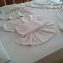 фото из отзыва ID 1298151