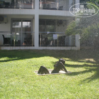 фото из отзыва ID 1298160