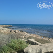 фото из отзыва ID 1298352