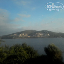 фото из отзыва ID 1298734