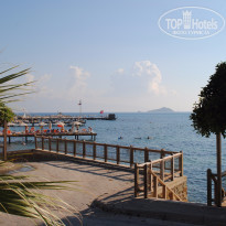 фото из отзыва ID 1298734