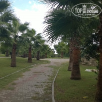 фото из отзыва ID 1298767