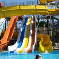 фото из отзыва ID 1298977