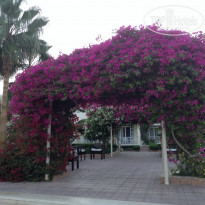 фото из отзыва ID 1299019