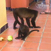 фото из отзыва ID 1299031