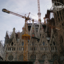 фото из отзыва ID 1299071