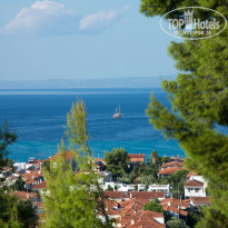 фото из отзыва ID 1299144