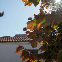 фото из отзыва ID 1299144