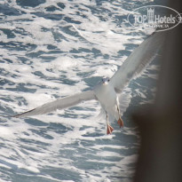 фото из отзыва ID 1299144