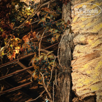 фото из отзыва ID 1299144