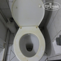 фото из отзыва ID 1299186