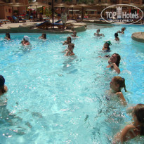 фото из отзыва ID 1299202