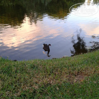 фото из отзыва ID 1299380