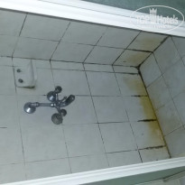 фото из отзыва ID 1299606