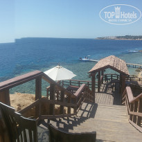 фото из отзыва ID 1299680