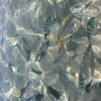 фото из отзыва ID 1299680