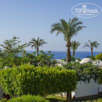 фото из отзыва ID 1297508