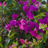 фото из отзыва ID 1297508