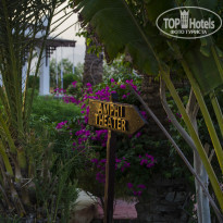 фото из отзыва ID 1297508