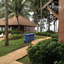 фото из отзыва ID 1294991