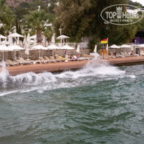 фото из отзыва ID 1291709