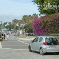 фото из отзыва ID 1297952