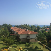 фото из отзыва ID 1295488