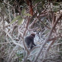 фото из отзыва ID 1294390