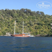 фото из отзыва ID 130419