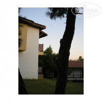 фото из отзыва ID 13022