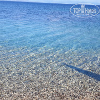 фото из отзыва ID 1300035