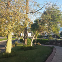 фото из отзыва ID 1300063