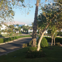 фото из отзыва ID 1300063