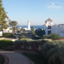 фото из отзыва ID 1300063