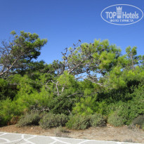 фото из отзыва ID 1300094