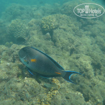 фото из отзыва ID 1300346