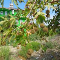 фото из отзыва ID 1300291