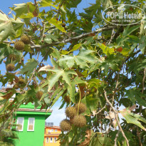 фото из отзыва ID 1300291