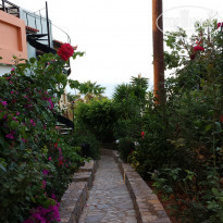 фото из отзыва ID 1300682