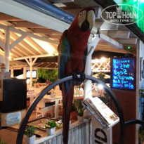 фото из отзыва ID 1300984