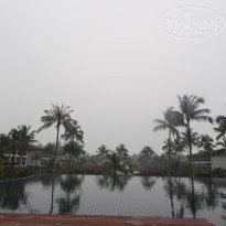 фото из отзыва ID 1301037