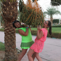 фото из отзыва ID 1301239