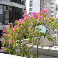 фото из отзыва ID 1301252