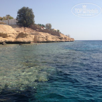 фото из отзыва ID 1301314