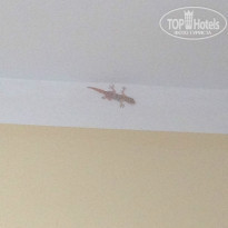 фото из отзыва ID 1301314