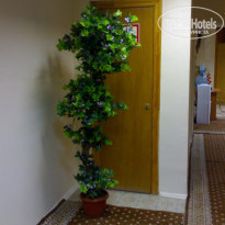 фото из отзыва ID 1301366