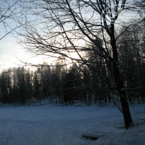 фото из отзыва ID 1301366